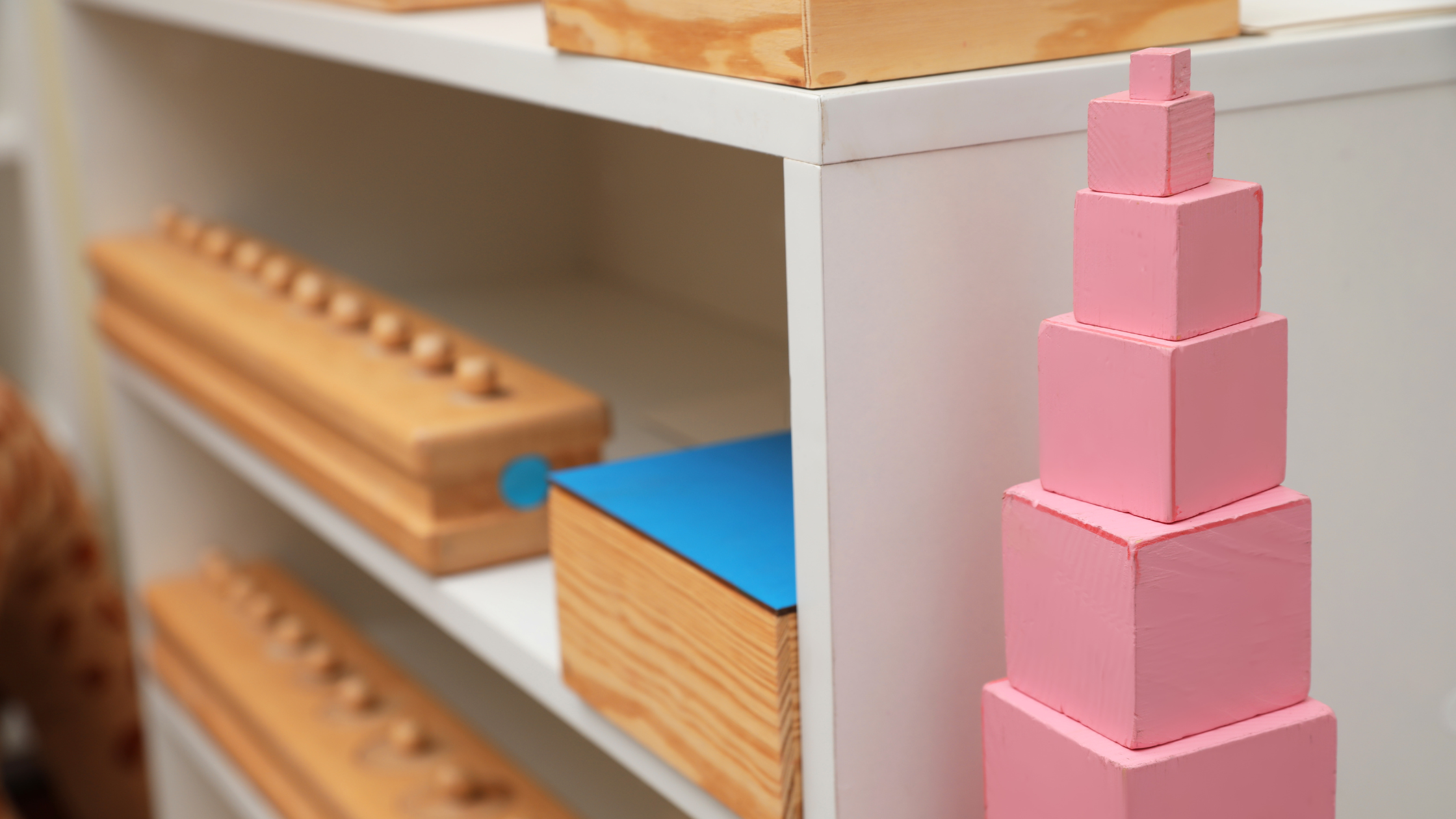 Kids playing in park